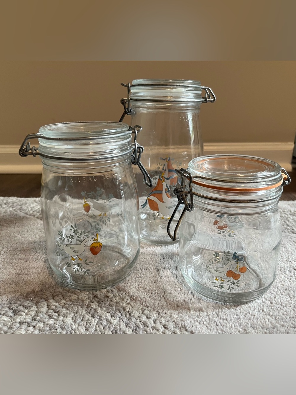 Vintage Arc France Hearts & Geese Glass Grannycore Cottagecore Canister set